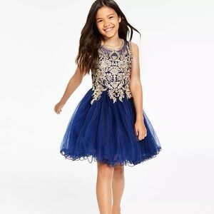 Rare Editions Mesh Embroidered Floral Sleeveless Dress In Navy Blue And Gold